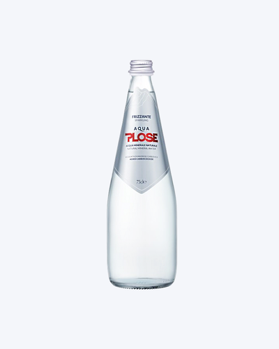 Alpių šaltinio vanduo PLOSE FRIZZANTE 500 ml