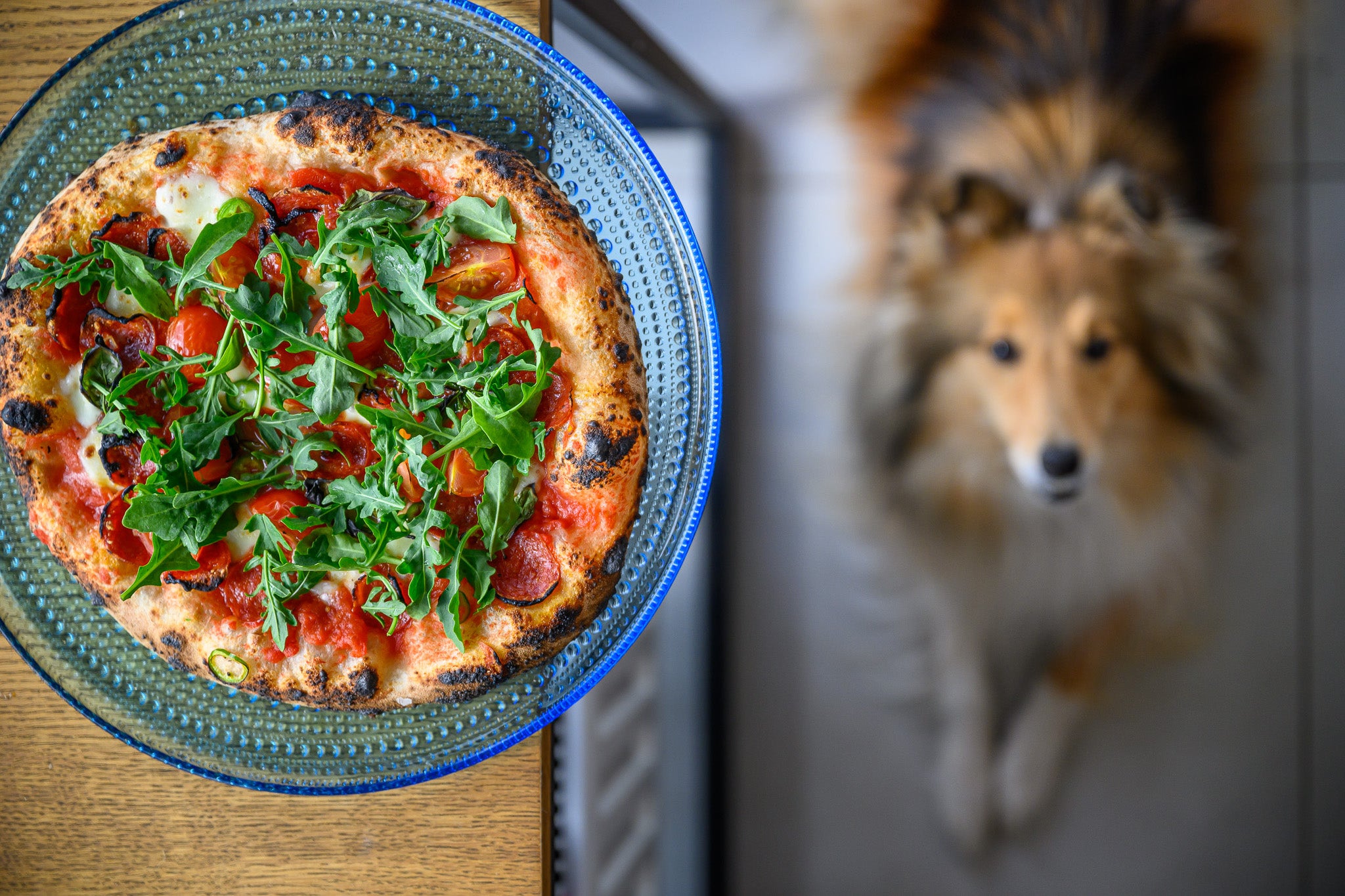 Pica su Pepperoni, pomidoriukais ir rukola