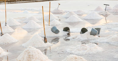 Jūras sāls Izpārdošana Vero 1kg